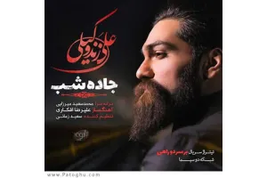 دانلود آهنگ تیتراژ سریال بر سر دو راهی از علی زند وکیلی