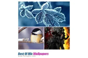 دانلود مجموعه ۱۰۵ تصوير پس زمينه زیبا و دیدنی Best Of Mix Wallpapers