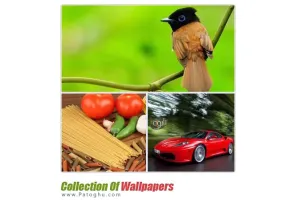 دانلود مجموعه ۲۷۰ پس زمینه زیبا و دیدنی Collection Of Wallpapers
