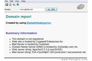 اطلاعات کامل از سایتها و تاریخچه سایتها توسط نرم افزار DomainHostingView 1.11