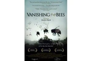 دانلود مستند انقراض زنبورها The Vanishing of the Bees