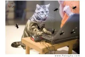 پرواز مگس ها روی دسکتاپ با Fly on Desktop ScreenSaver 1.2