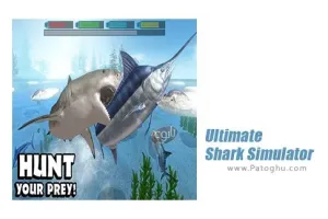 دانلود بازی شبیه سازی کوسه برای اندروید Ultimate Shark Simulator v1.1