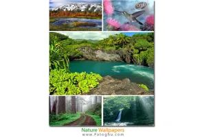 تصاویر پس زمینه جدید و جذاب از طبیعت Nature Wallpapers