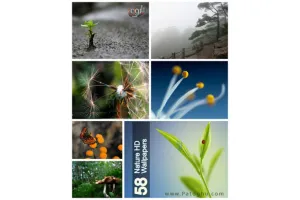 مجموعه جدید والپپرهای طبیعت به نام Nature HD Wallpapers