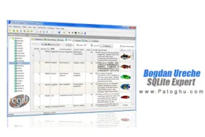مدیریت بر پایگاه های داده و دیتابیس | دانلود SQLite Expert Professional 5.5.38.649
