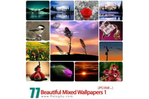 مجموعه والپیپرهای ترکیبی زیبا پک ۱ – Beautiful Mixed Wallpapers