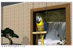 اسکرین سیور زیبا و جذاب Digital Talking Parrot ScreenSaver