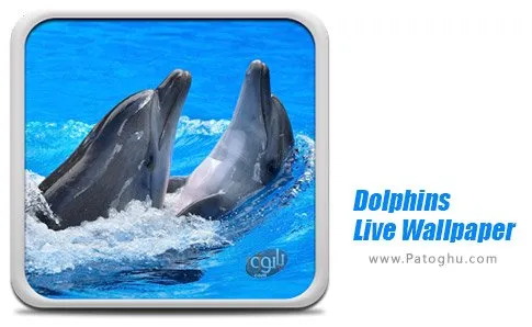دانلود نرم افزار Dolphins Live Wallpaper برای اندروید