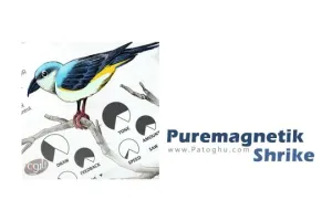 دانلود نرم افزار ایجاد افکت های صوتی Puremagnetik Shrike 1.0.3