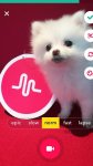 دانلود نرم افزار musical.ly برای اندروید