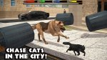 دانلود Ultimate Dog Simulator برای اندروید