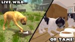 دانلود Ultimate Dog Simulator برای اندروید