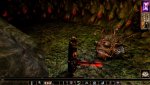 دانلود Neverwinter Nights: Enhanced Edition برای اندروید