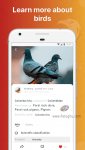 دانلود Picture Bird برای اندروید