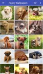 دانلود Puppy Wallpapers HD برای اندروید
