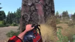 Lumberjacks Dynasty