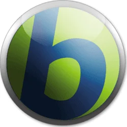 دانلود نسخه جدید دیکشنری بابیلون Babylon Pro NG 11.0.1.4 - فرهنگ لغت کامپیوتر