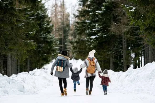 عوامل تاثیرگذار بر قیمت بلیط هواپیما؛ چرا قیمت پرواز نوسان دارد؟